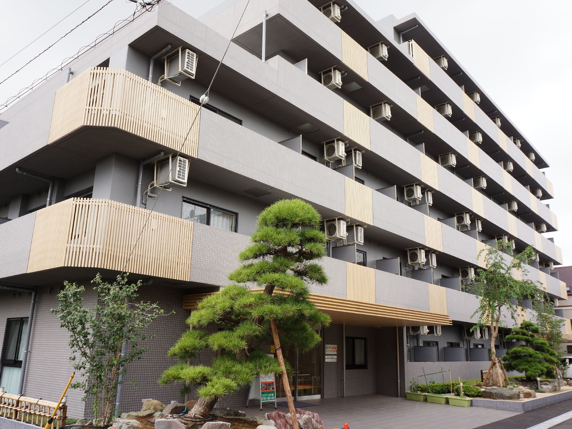 玄関横にある松の木が懐かしさを感じさせる６階建てのまるでマンションのような施設