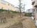 居室の出窓からみることができる施設敷地内に、芝生と植栽のある庭がある。背の高い木には支柱が施されている。