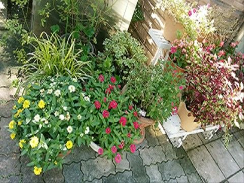 華やかな植栽の中庭