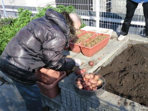 屋上にある菜園で野菜の収穫を楽しんでいるご入居者様