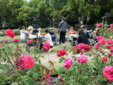 緑豊かなバラの咲く公園で散策を楽しむご入居者様達と職員