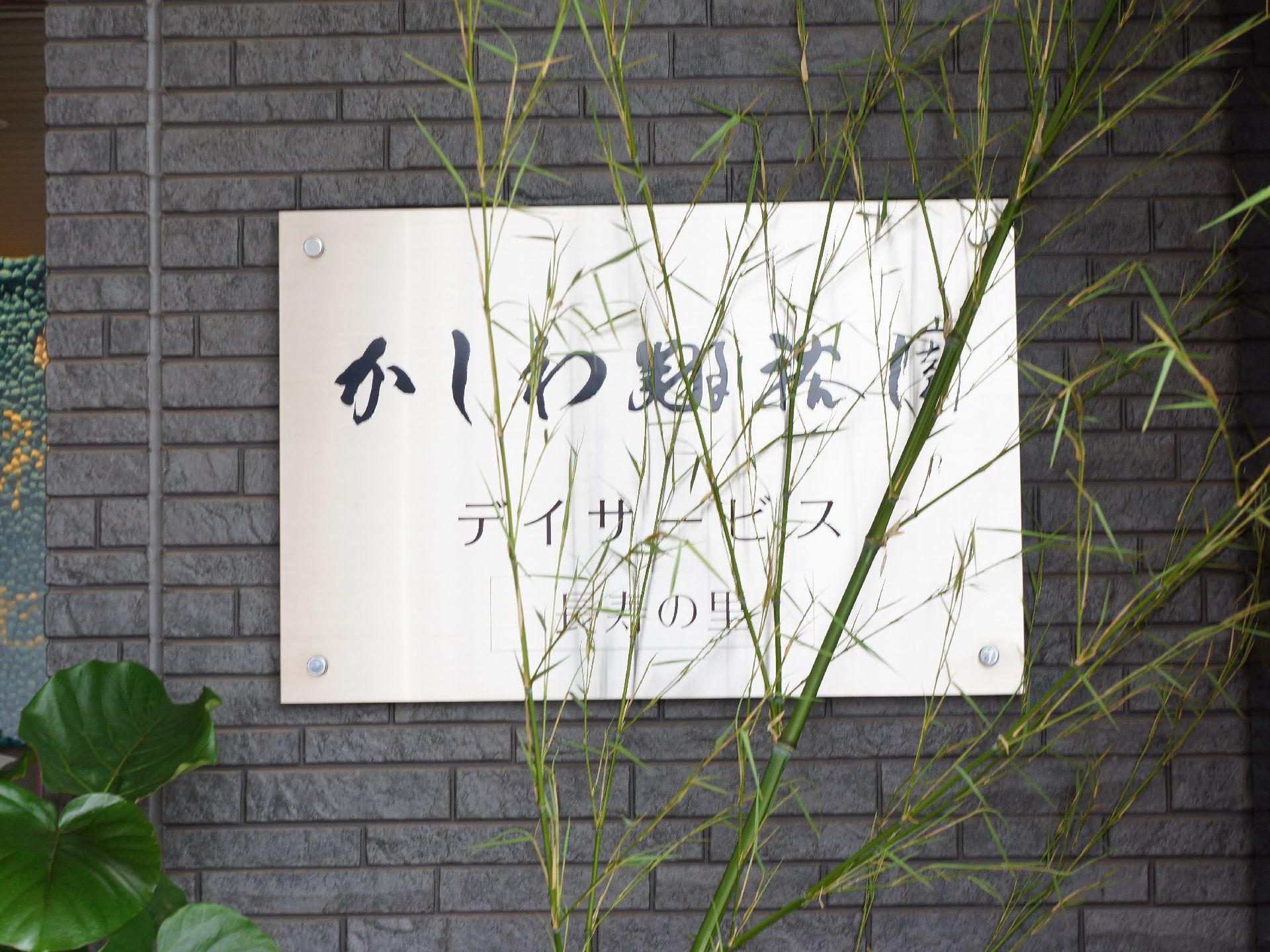玄関横の壁にはシックなシルバーの表札を設置している。落ち着いたフォントで、表札前には植物も置かれている為、より味わいが出ている。