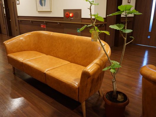 ソファと植物
