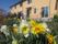 「サービス付き高齢者向け住宅まほうの家」の外観。スイセンの花が美しい。