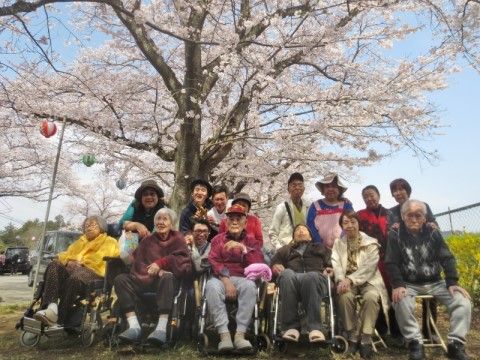 「サービス付き高齢者向け住宅まほうの家」のイベント。印西市・小林牧場でのお花見を実施している。