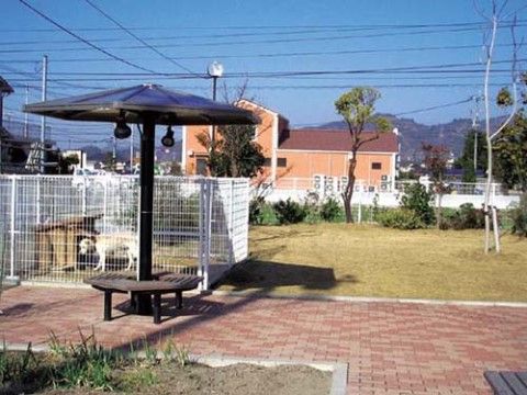 柵の中に白い犬が飼育されている、東屋風のベンチのある中庭