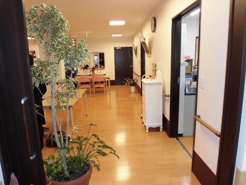 館内は木目調のフローリングで、段差がないフラットな床となっている。手前には、観葉植物が置かれている。