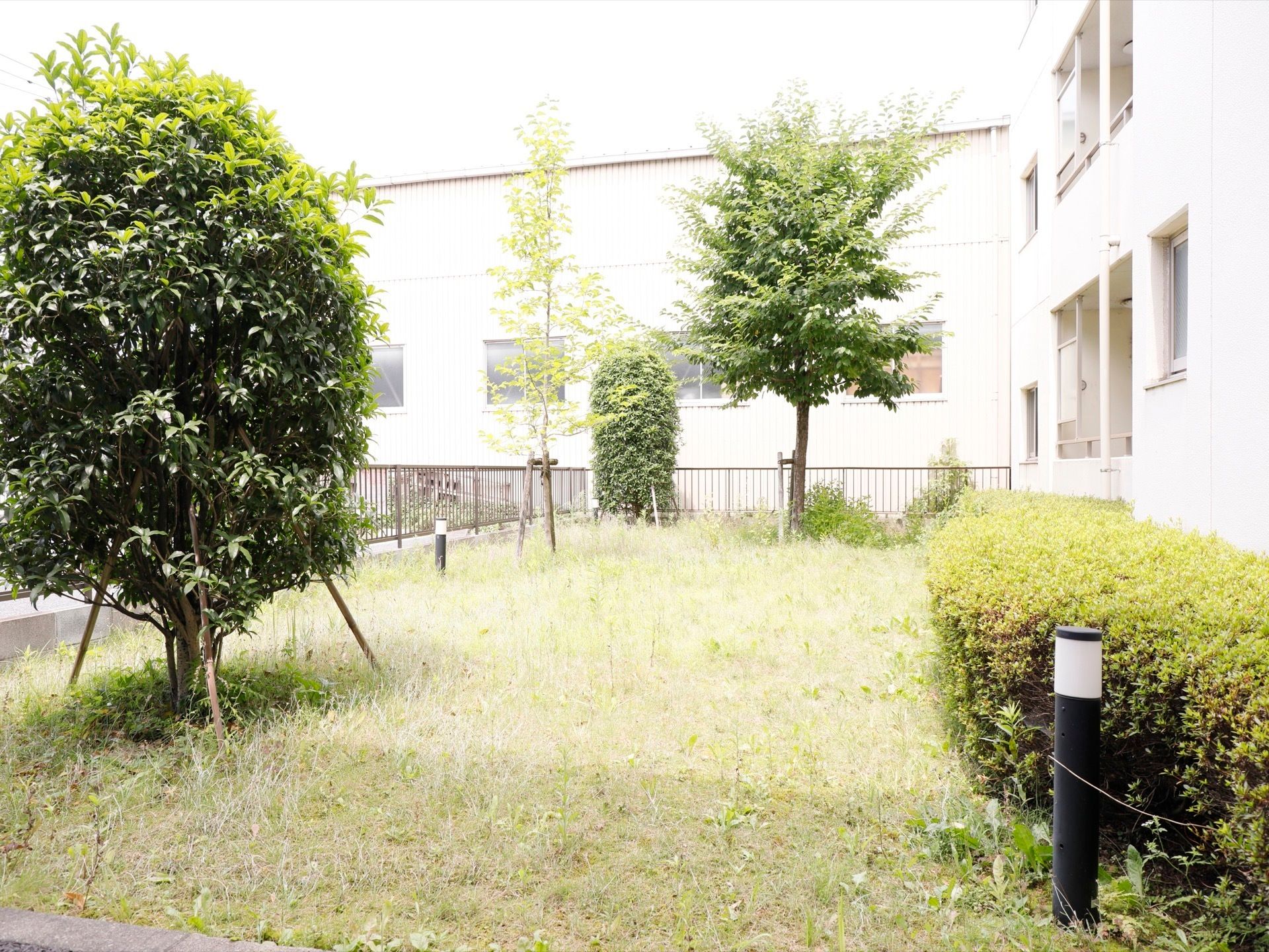 敷地内に整備されている庭。刈り込まれた植木が配置され、夜になるとあちこちに立ったライトポールで照らされる。