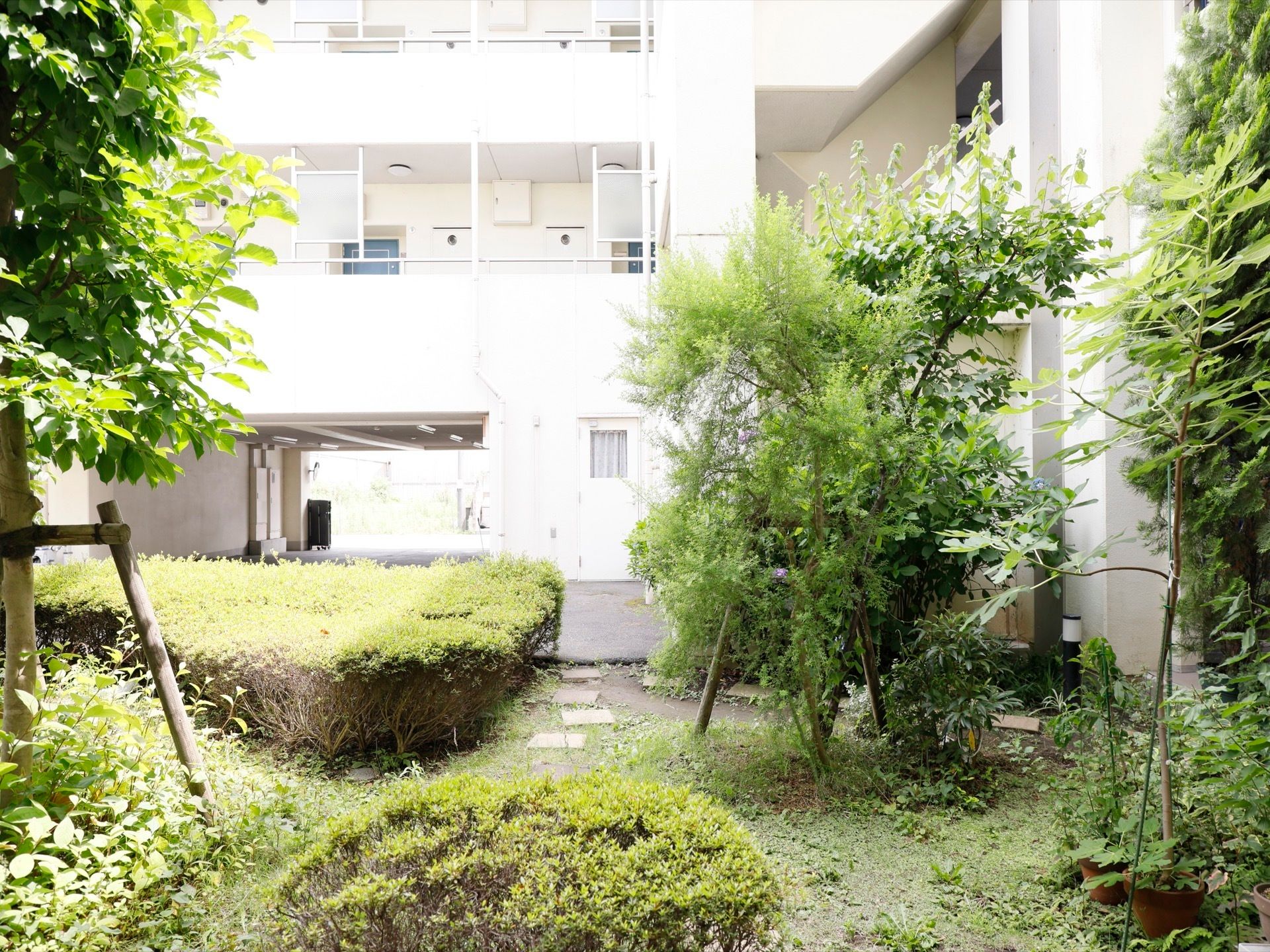 施設には、四方を建物で囲まれた中庭がある。緑の植木が多数植えられており、アスファルト舗装の駐車場と直接つながっている。