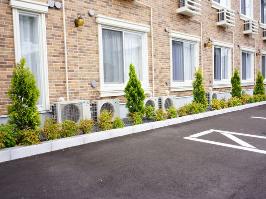 癒しをもたらす緑の木々