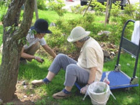 芝生のスペースで、青色の台車に座って草取りをする入居者の女性