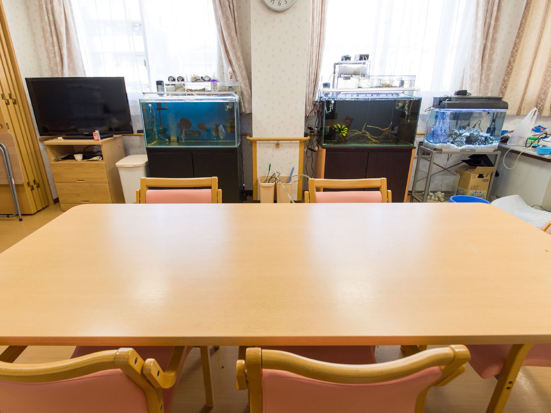 窓際に、魚などが泳いでいる水槽がいくつか設置されているリビング
