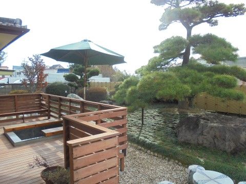 庭に手入れをされた大きな松の木や岩が飾られている様子