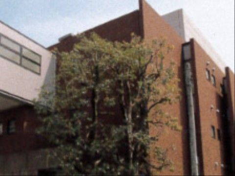 緑豊かな外観の建物