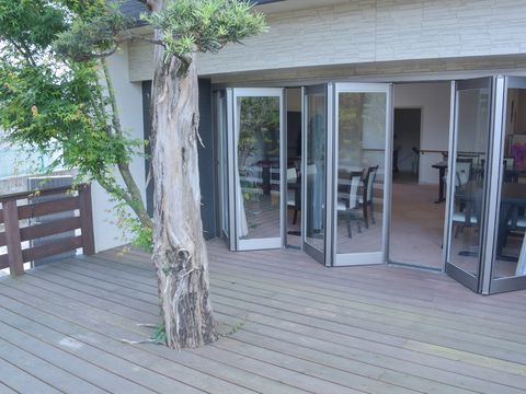 施設の窓の外にあるデッキの一角に、大きな木が植わっている様子