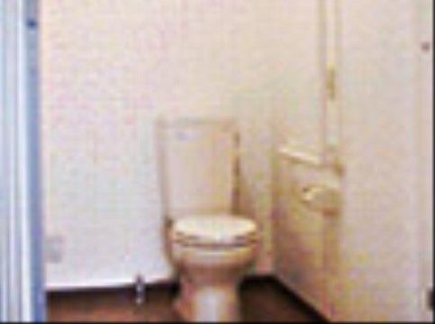 余裕のある広さの個室に、洋式トイレが設置されている。壁には手すりが備わり、片側の壁はアコーディオンカーテンになっている。