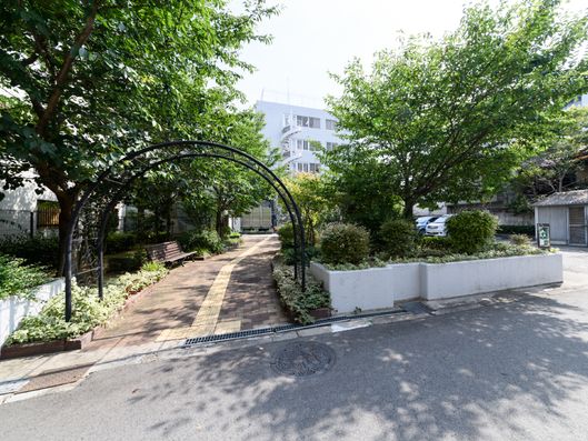 駐車場横の通路