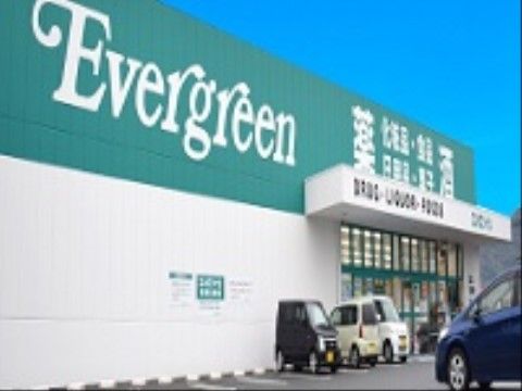白とグリーンの外壁に、ドラッグストア名が書かれている。薬や日用品、お酒などを扱っている。店舗前には駐車場がある。