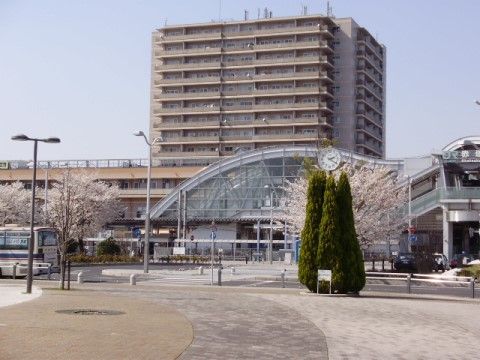 広場の中央に立っている木の上に時計が設置されている、施設の最寄り駅