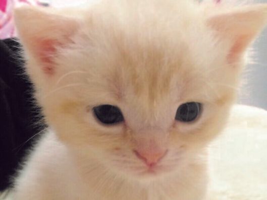 生活