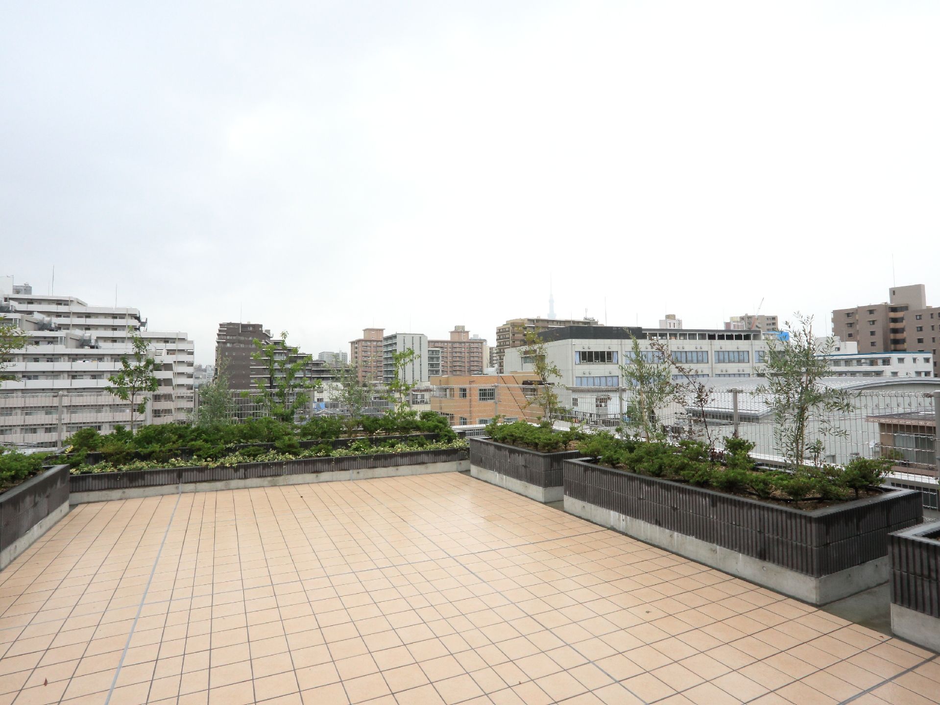 施設建物の屋上には、フェンスの縁沿いに花壇がずらりと並んでいる。花壇には大小の木々が植えられ憩いの場として活用されている。