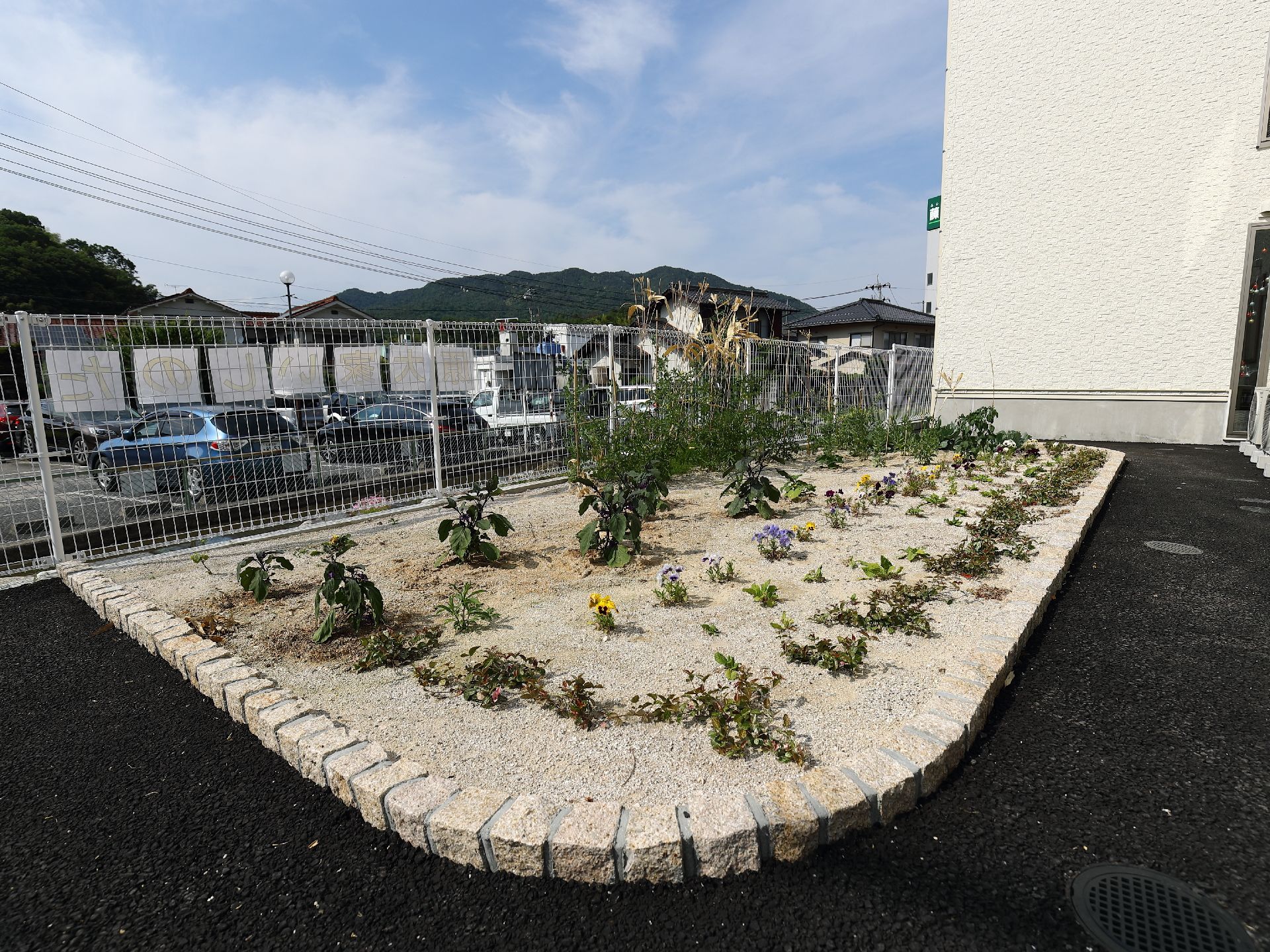 駐車場の近くに花壇があり、いくつもの花や植物が植えられている。駐車場と花壇はフェンスで区切られている。