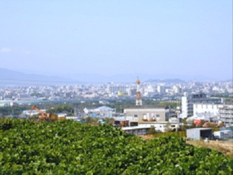 施設は少し高い場所に作られている。そのため、周りの景色をよく見渡すことができる。山や緑、住宅が見える。