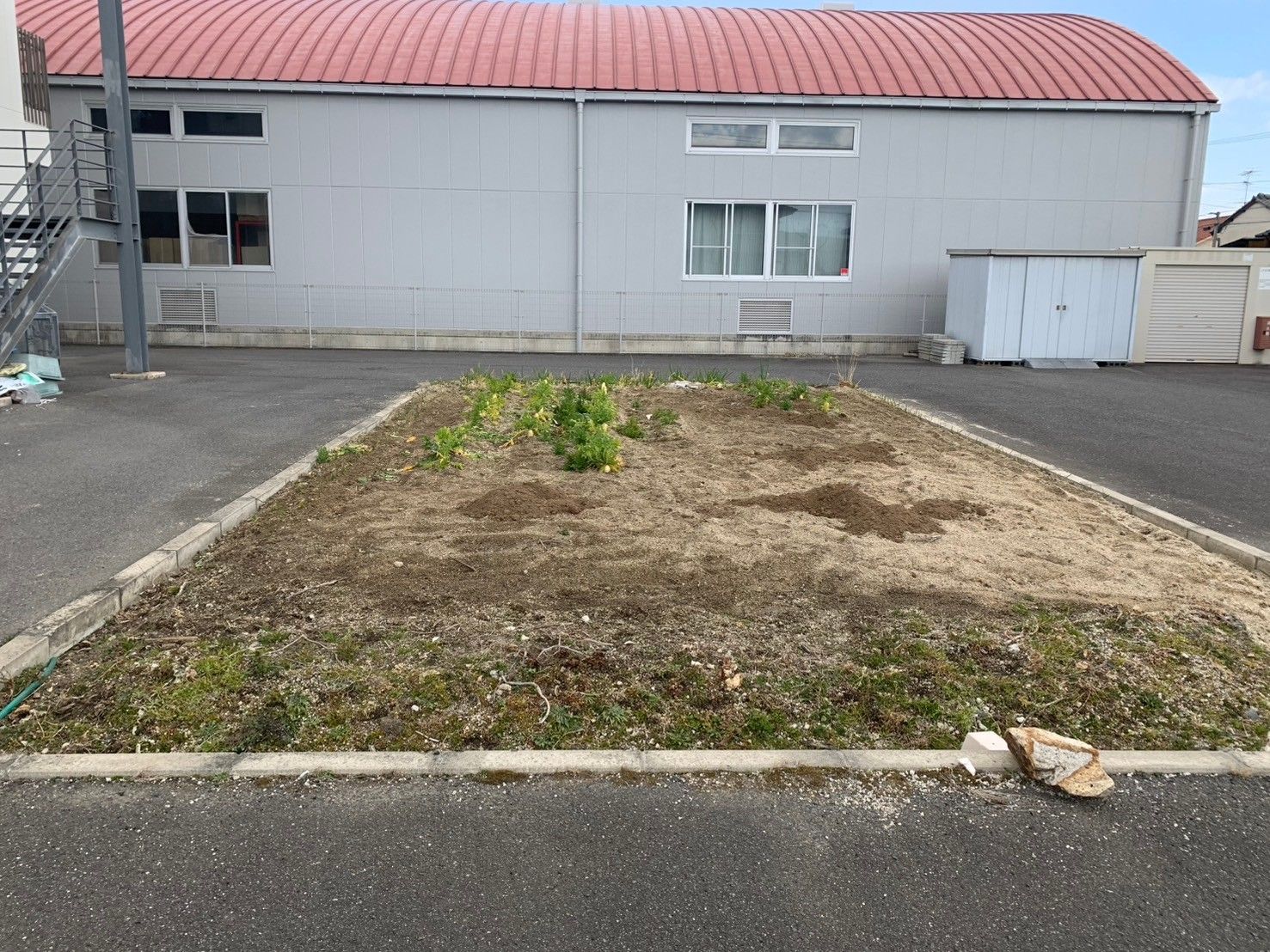 小さな庭のある建物