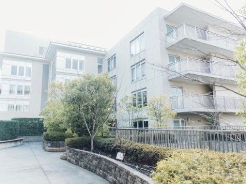 緑の木々が多く、ちょっとしたお散歩にも利用できる遊歩道