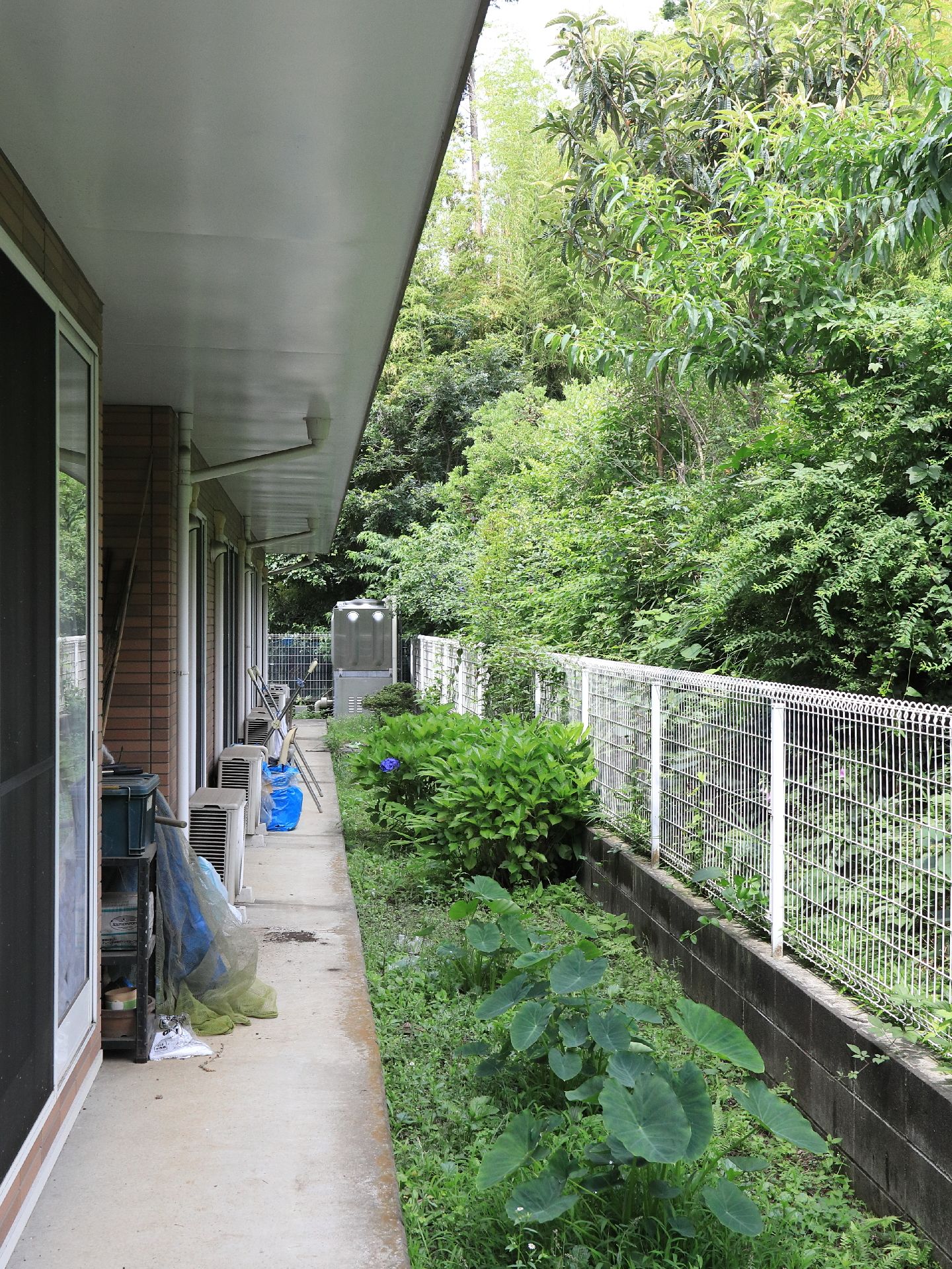 建物の外は白い柵を挟んで木々が多く茂っている。また、柵の内側には腰ほどの高さの草がいくつか植えられている。