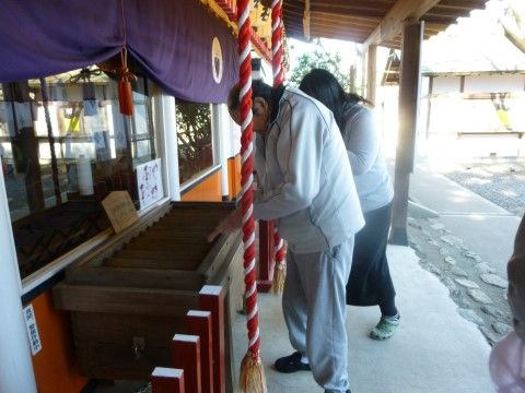 お散歩中、近所にある神社に寄りお参りをしている様子