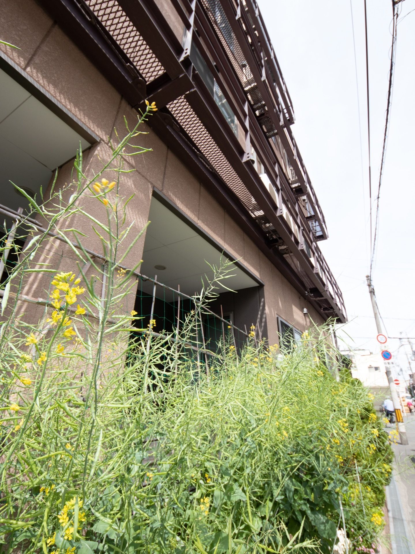 各上階のベランダには、エアコンの室外機を置いている。建物前の道路沿いに緑豊かな花壇を設け、中には季節の草花もある。