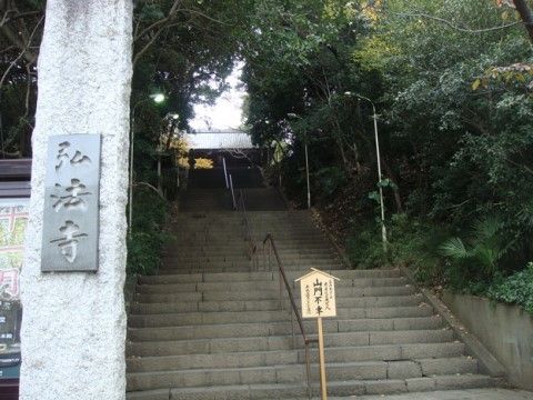 石段には手すりも完備されているので、ちょっとした体力維持にもお使いいただける。自然に囲まれたお寺で静かに過ごすことができる。