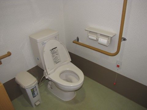 床面は段差がない。洋式便器が設置されている。壁面にはL字形の手すりと緊急用の通報レバーが付いている。