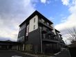 ミサトピア・ロピテル一日市場の写真