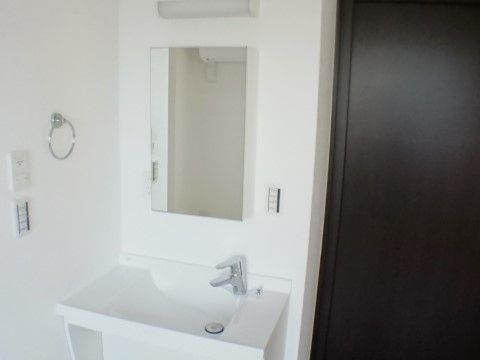 姿見としても利用できる大きなミラーが設置されている。洗面台の下部は空間になっており、車椅子のまま使用できる。