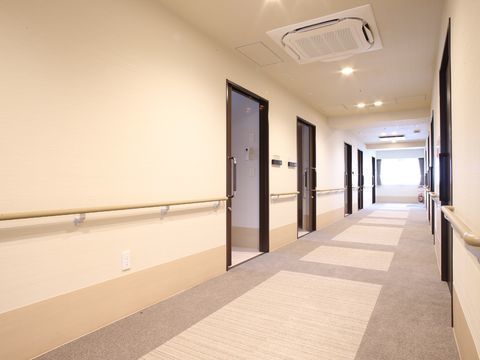 カーペットの敷かれたゴージャスな廊下には冷暖房が完備。居室から出ても気温差がない。大きな窓からは日が射し込み明るい。