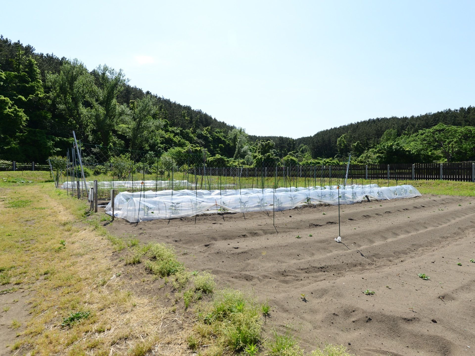 辺りには緑が生い茂っている。畑は耕されており、時期に応じた野菜が育てられている。一部はシートで覆われている。