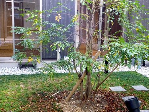 施設には中庭も用意している。植栽をしているので、窓から緑を眺められる。また、中庭を散歩することもできる。