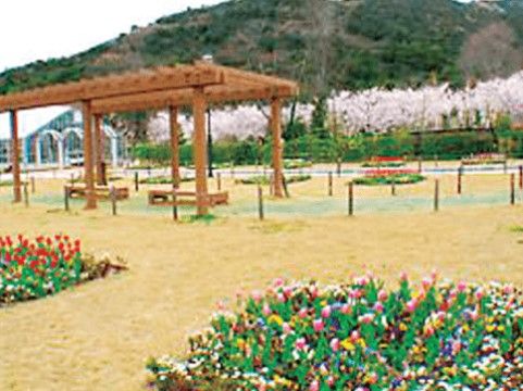 施設から歩いて行ける距離には大きな公園がある。入居者様同士で散歩に出かけるなど、外の空気を吸って気分転換ができる。