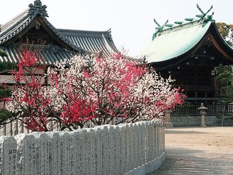 施設の周辺には情緒あふれる寺院などもある。古風な雰囲気を感じながら散策することができ、いい気分転換になる。