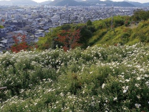 施設の周りを緑豊かな山々が取り囲んでいる。心地よい風を感じることができて最高のロケーションとなっている。