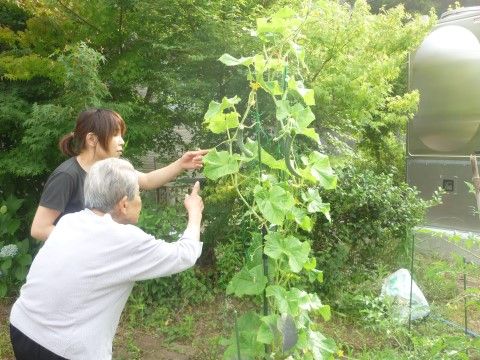 施設内の菜園で育てたきゅうりを前にするスタッフと入居者様