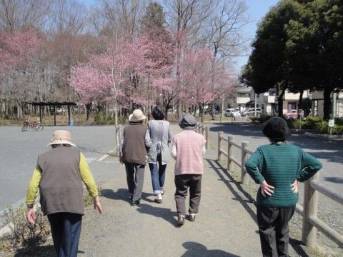天気の良い日に散歩がてら花見にでかける入居者様とスタッフ