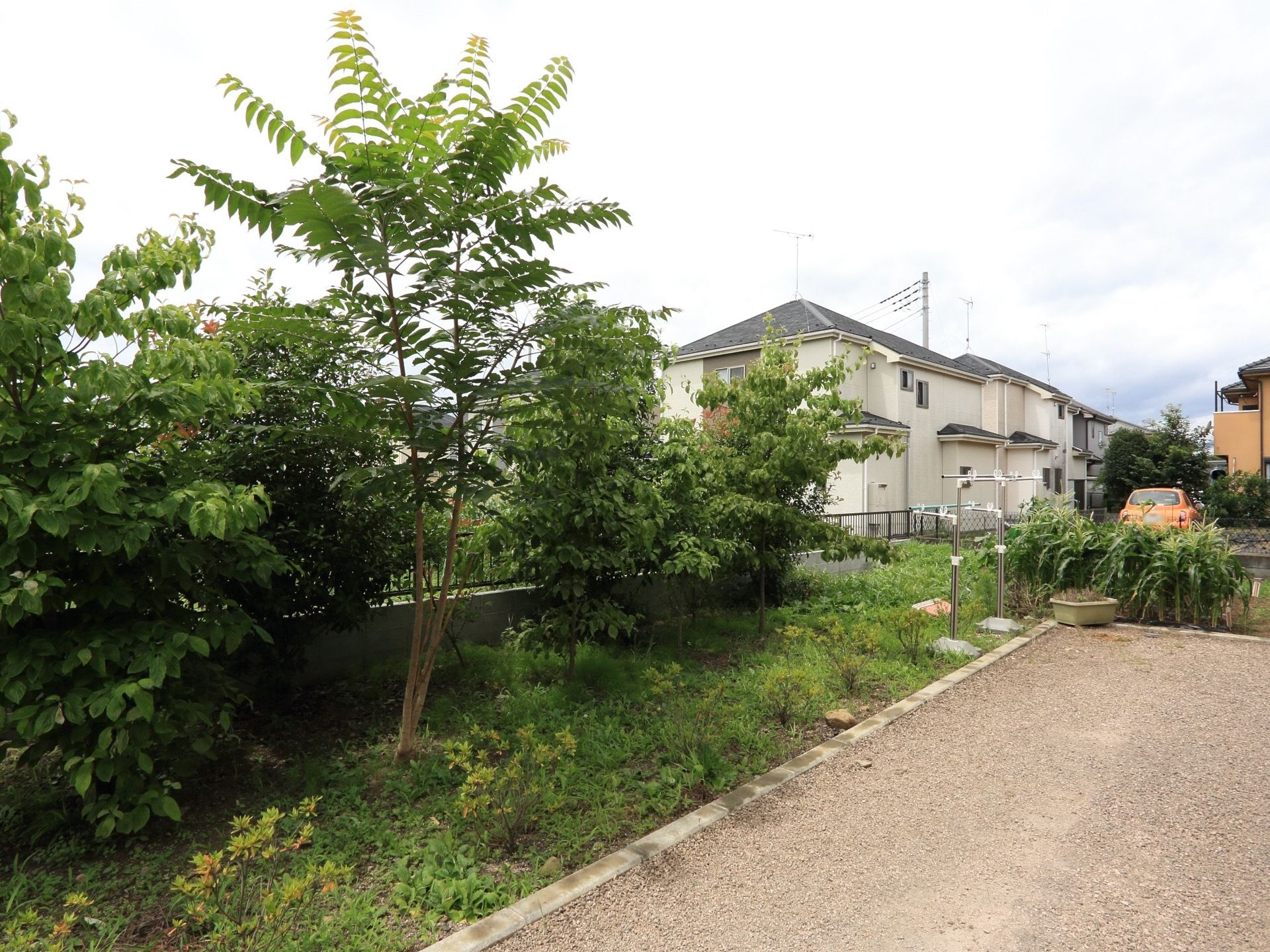 施設に完備されている植え込みには、緑豊かな草木が植えられている。入居者様の癒しのスペースとなっている。