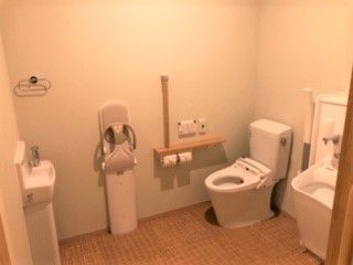 エル字型の手すりがついた施設内にトイレの様子。洗面台付きの介護仕様のトイレ