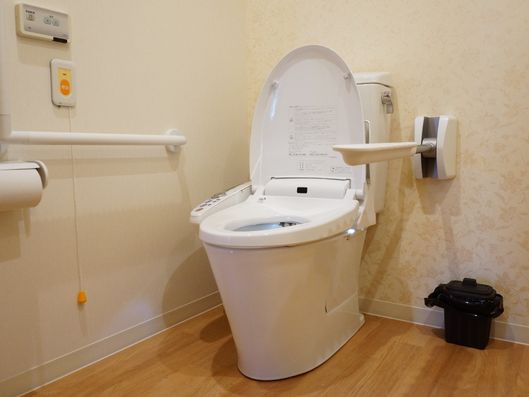 柔らかい雰囲気のトイレ