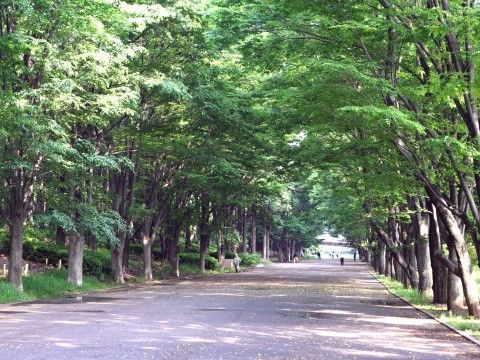 施設のそばには、自然に包まれた緑あふれる公園がある。天気のよいお出かけ日和には、散歩やひなたぼっこをしてリラックスできる。