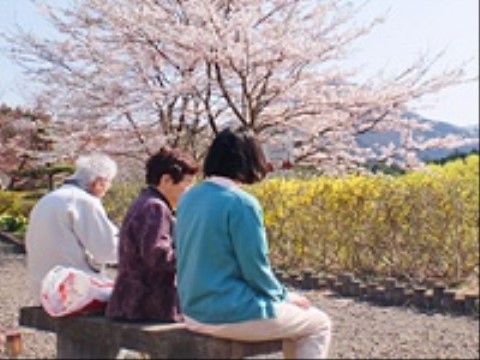 春の庭で憩う入居者