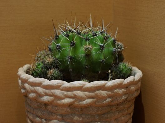 エレベーターホール